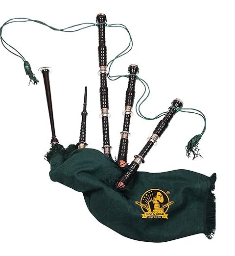 Special Design Rosewood Bagpipe with Gig bag