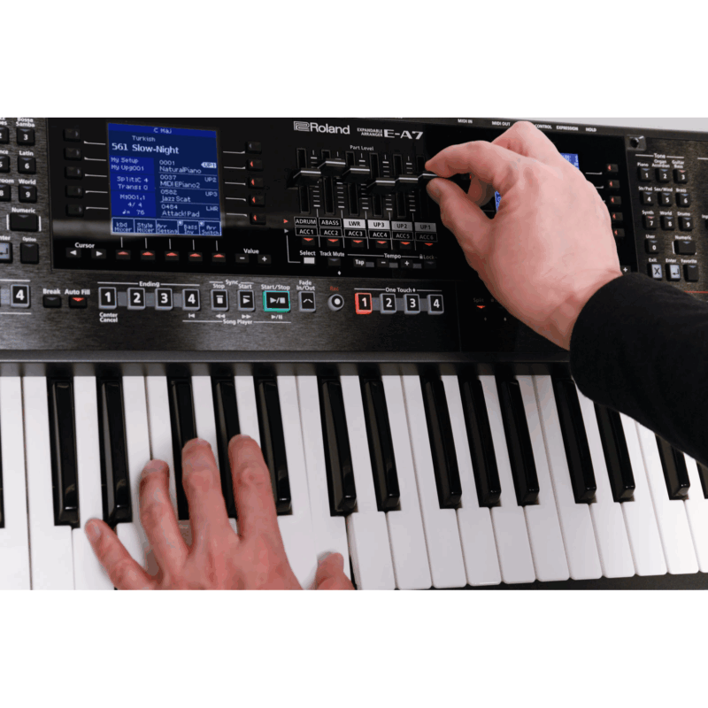 Roland E-A7 - Image 12