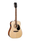 Cort Standard AD810E